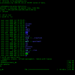 Linux terminal commands for deploying a website on a server